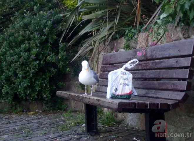 Oltasına takıldı! Neye uğradığını şaşırdı 22