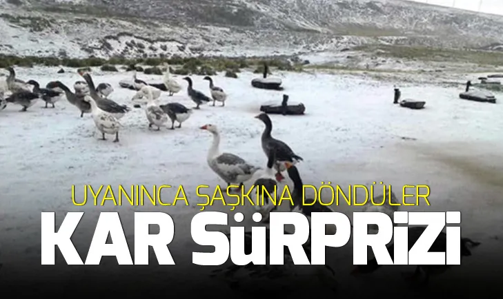Kaçkar Dağlarına mevsimin ilk karı yağdı