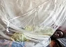 Lassa ateşi nedeniyle ölü sayısı 70’e yükseldi