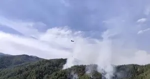 Kahramanmaraş’ta orman yangını