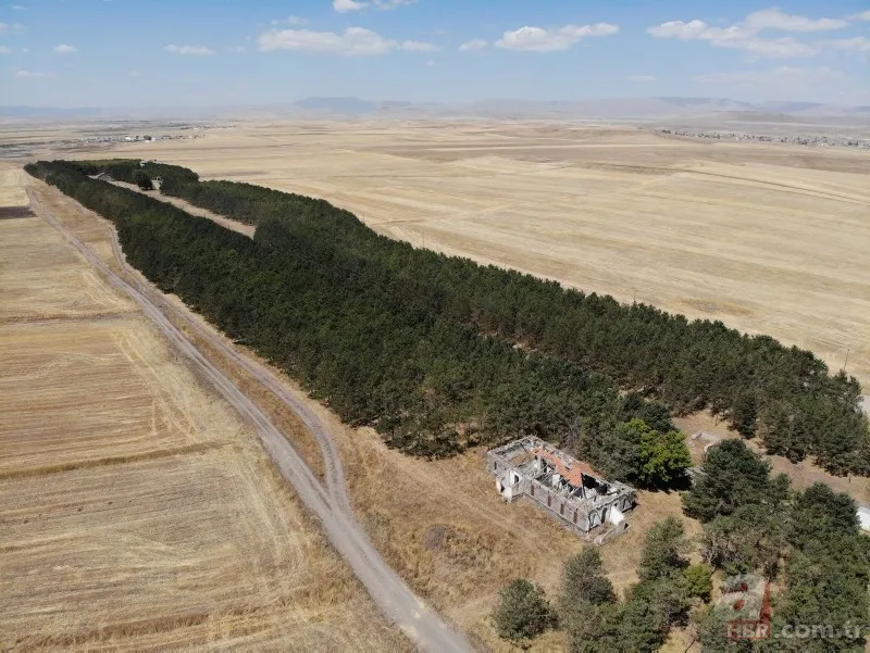 Bozkırın ortasında yemyeşil doğa! Hayran bırakan görüntüler 13