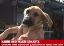 Karne hediyeleri sokakta!