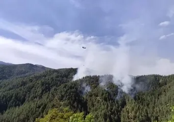 Kahramanmaraş’taki orman yangını kontrol altında!  5,5 hektar alan zarar gördü
