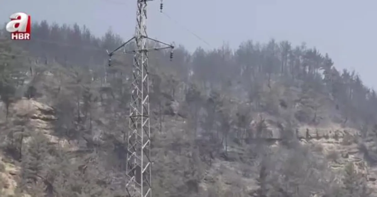 Karabük'te alevlerle mücadele sürüyor