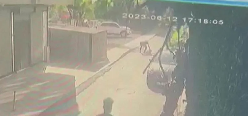 Pendik'te sokak ortasında kan donduran cinayet! Arkasından yaklaştı bir anda bıçakladı