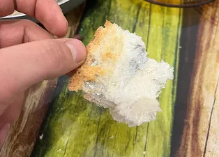 Ekmeğin içinden çıkan şoke etti!