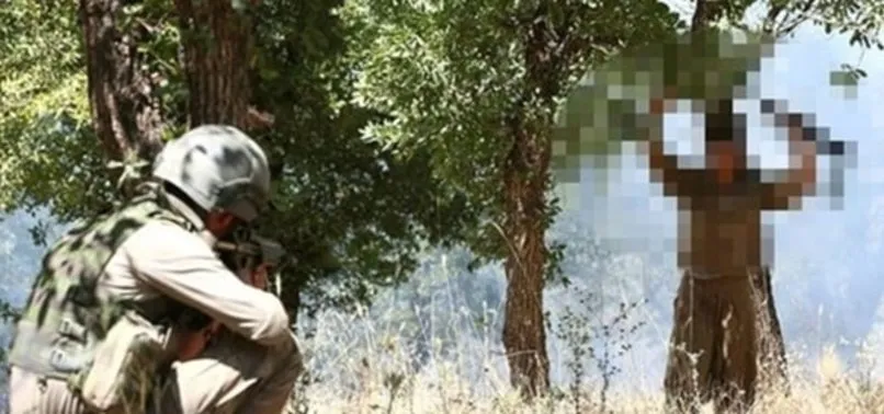 Son dakika: İçişleri Bakanlığı: 5 terörist teslim oldu
