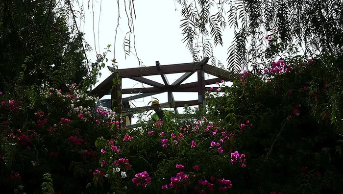 Son dakika: Firari Can Dündar’ın kaçak villasında yıkım sürüyor