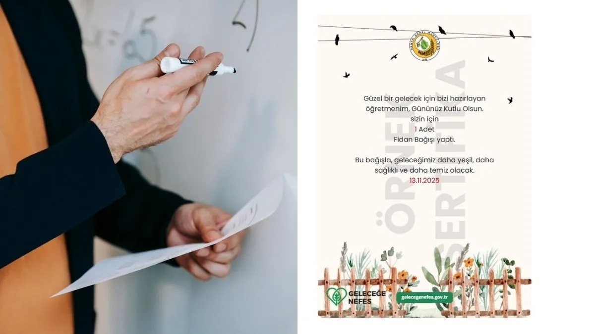 Öğretmenler Günü fidan bağışı nasıl yapılır, sertifika nasıl alınır? Geleceğe Nefes 1 fidan ne kadar, kaç TL?