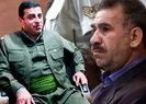 Teröristbaşı Öcalan - Selahattin Demirtaş kavgası! HDP ikiye bölündü