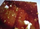 Türkiye başardı! Dünyaya örnek olacak