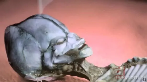 Gizemli iskeletin sırrı çözüldü! Uzaylıya mı ait? UFO teorileri üzerinde duruluyordu… Gerçek bambaşka çıktı 5