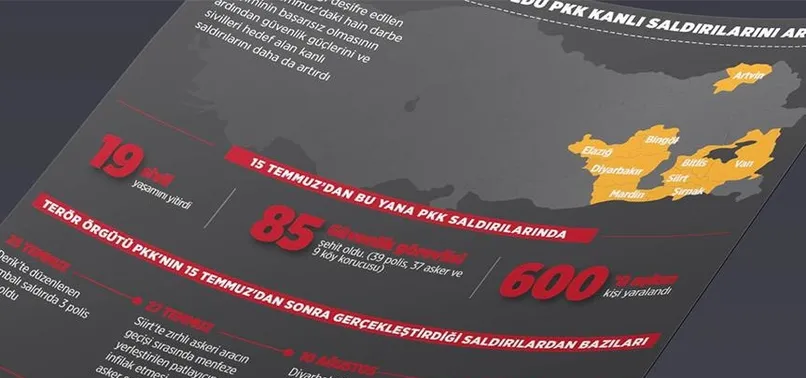 Darbe girişimi başarısız oldu, PKK kanlı saldırılarını artırdı