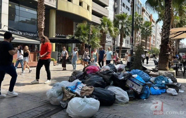 İzmir'de halkı isyan ettiren görüntüler! Karada çöp dağları, havada pis koku ve denizde balık ölümleri... 6