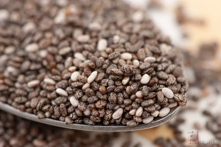 İbn-i Sina yüzyıllar önce keşfetti: Yaşlanma karşıtı formül! 5