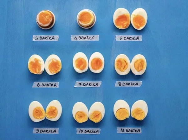 canan-karatay-super-besin-diyerek-acikladi-sahur-sofralarinizdan-eksik-etmeyin-gunde-2-adet-tuketirseniz-1678973313692.jpg Sahur sofralarınızdan eksik etmeyin! Canan Karatay 'Süper besin' diyerek açıkladı! Günde 2 adet tüketirseniz... - 6