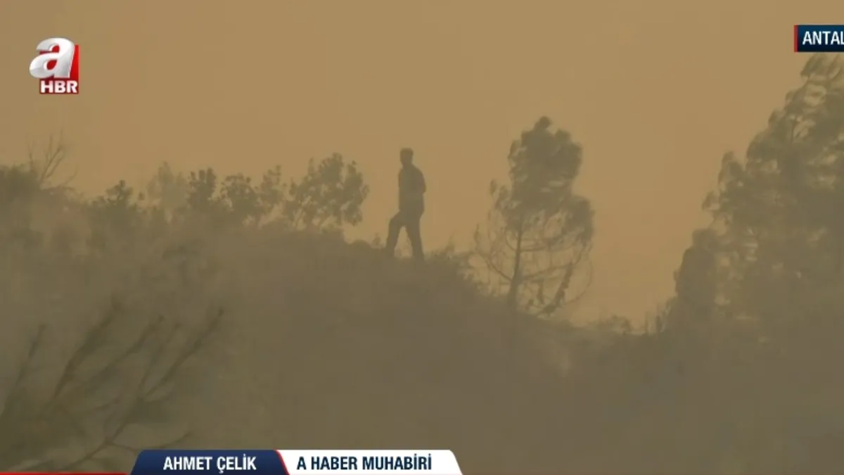 Alanya’da orman yangını! A Haber bölgede