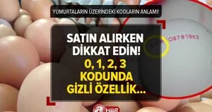 Rakamların anlamı ortaya çıktı! Yumurta alırken bu 4 koda dikkat edin! Üzerinde 0,1,2,3 yazıyorsa...