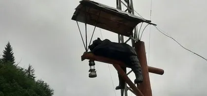 Rize’de görenleri hayrete düşüren manzara! İlgi odağı oldu