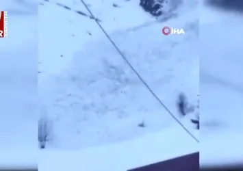 Uludere’de çığın düşme anı kamerada