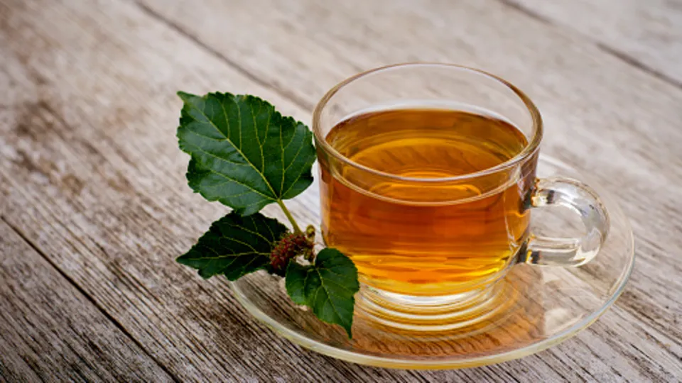 Osmanlı’nın şifa reçetesi! Antibiyotik etkisi gösteriyor