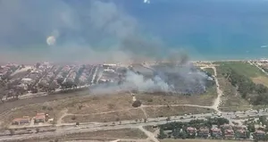 İzmir’de sazlık alanda yangın