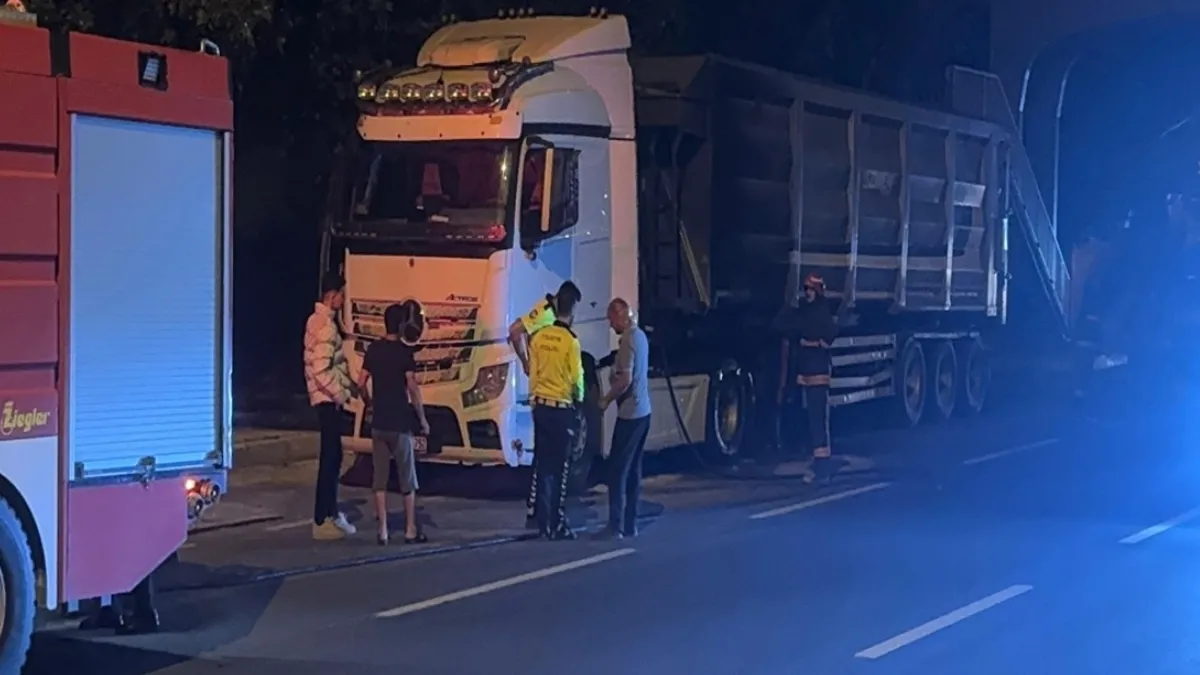 Sakarya'da demir yüklü TIR alev aldı