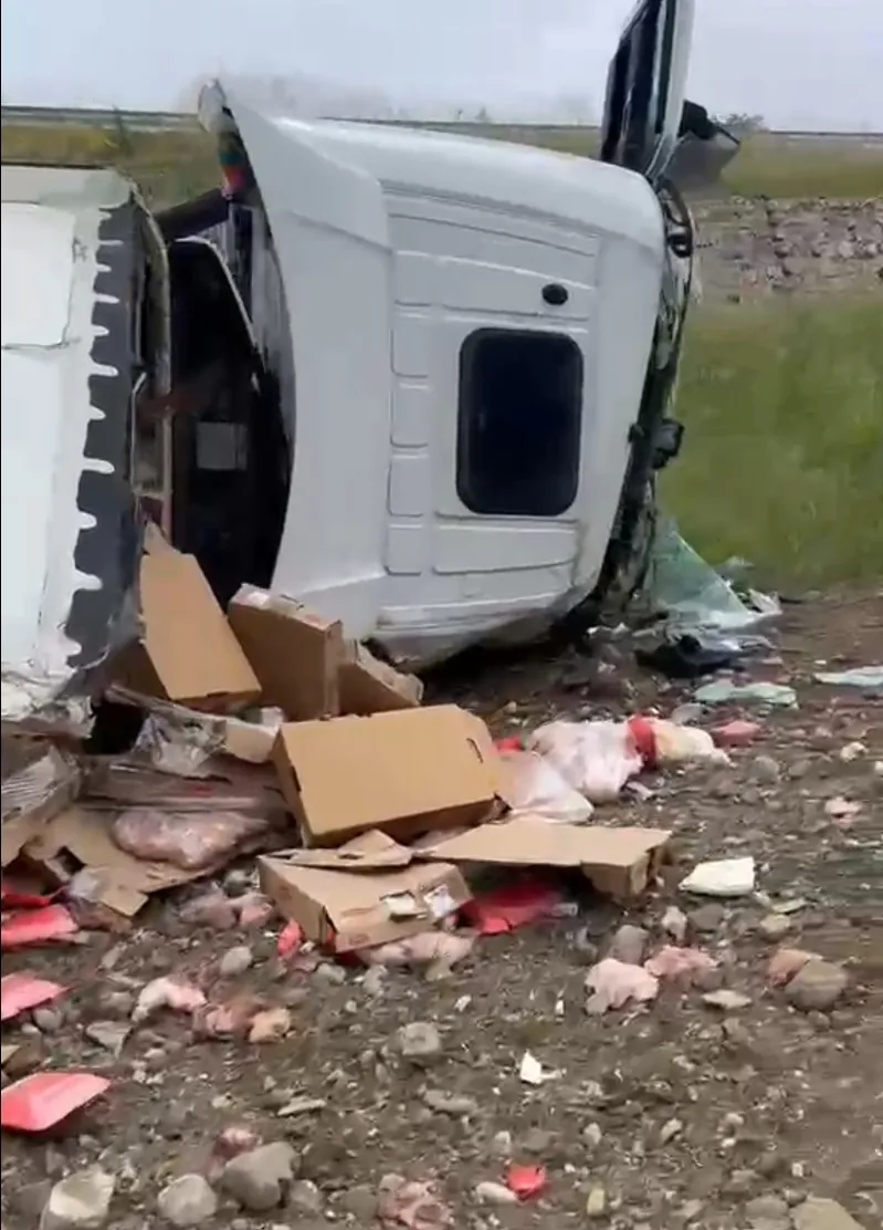 Amasya'da tavuk eti yüklü TIR şarampole devrildi - 4