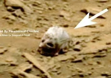 Mars’ta şimdi de uzaylı kafatası!