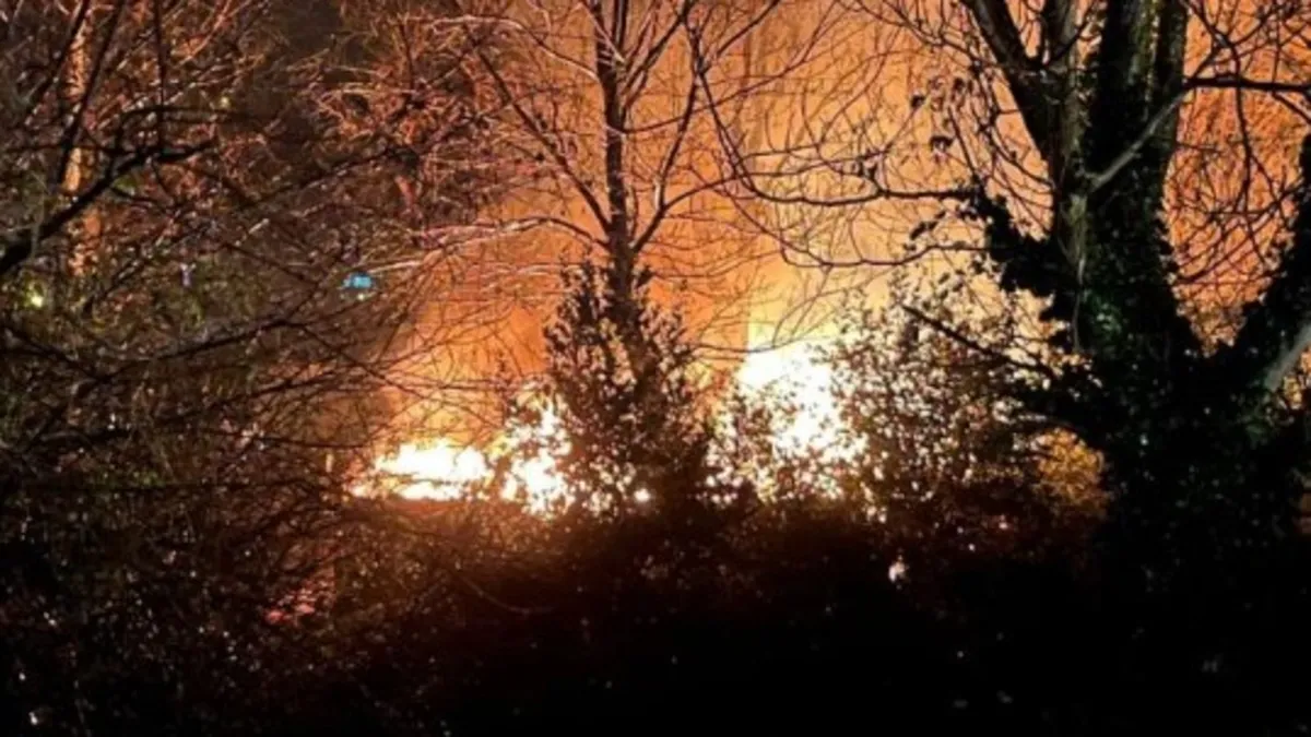 Zonguldak'ta ağaçlık alanda yangın paniği!