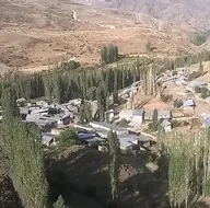Ahıra giren kadın dehşeti yaşadı!