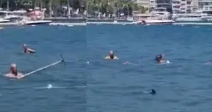 Marmaris’teki köpek balığı paniği