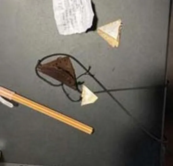 Son dakika: Diyarbakır’da terör operasyonunda şoke eden ayrıntılar! Muskadan 2 polise suikast planı çıktı