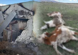 Muş'ta kazandan sıçrayan kıvılcım faciaya yol açtı