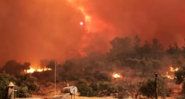 Muğla’daki Çökertme’de yangın büyüdü! Bodrum-Ören yolu kapandı A Haber ekibi o anları anbean aktardı