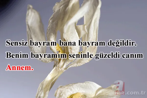 Kurban Bayramı içten, duygulu cep telefonu mesajları: Eşe, dosta, akrabaya en güzel bayram sözleri... 4