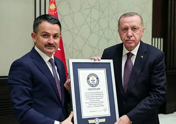 Başkan Erdoğan'a "en fazla fidan dikme rekoru" belgesi takdim edildi