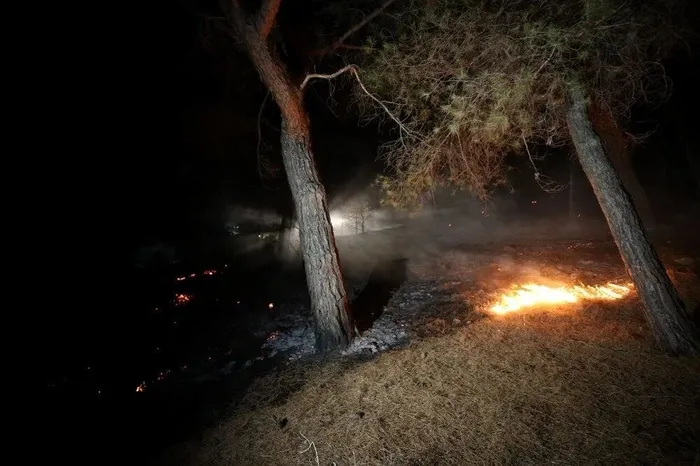 Ciğerlerimiz yanıyor! 3 ilde orman yangını | Çanakkale ve Bursa’da ekiplerin müdahalesi sürüyor | İzmir’deki yangın kontrol altında