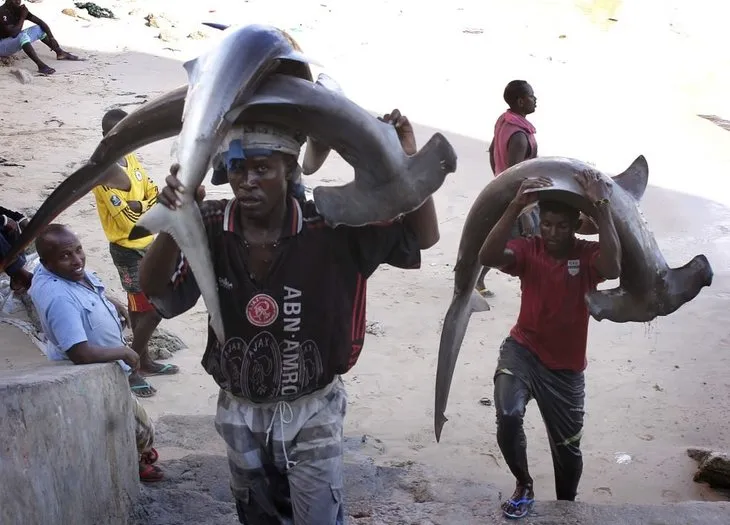 Somali’de balıkçılık