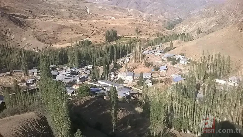 Hayvanlarını beslemek için ahıra giden kadın dehşeti yaşadı 🐄 Kurt birden saldırıp çenesini ısırdı 🐺 1