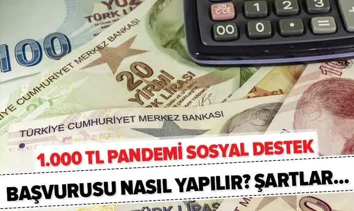 e-Devlet 1.000 TL pandemi sosyal destek başvurusu nasıl yapılır? 3. faz sosyal yardım başvuru şartları neler?