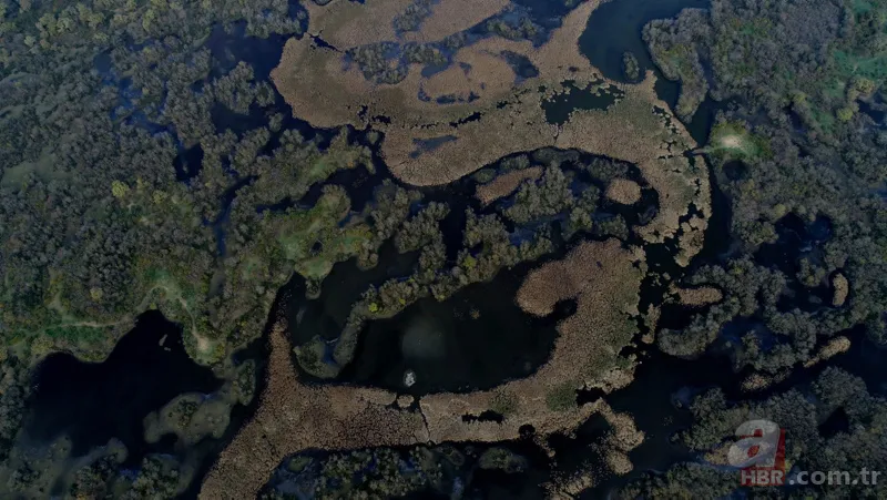 22 kilometre uzunluğu ile Türkiye'nin en uzun sahili! Sağlık turizminin gözdesi olacak 8