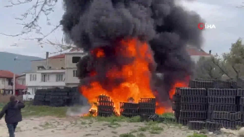 İznik’te zeytinlik alanda korkutan yangın!