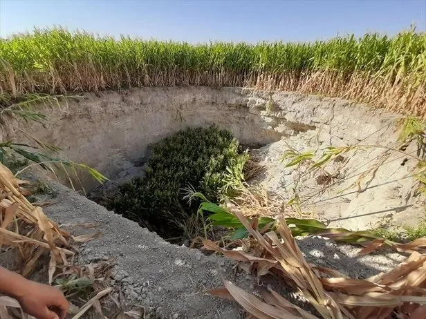 Tarlada çalışırken bir anda gördü çok büyük ve korkutucuydu! O ilimizde korkutan olay...