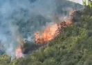 Sarıyerde korkutan orman yangını