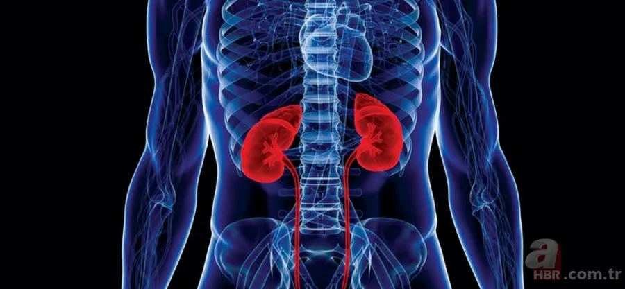 Böbrek dokusunu bozuyor 5