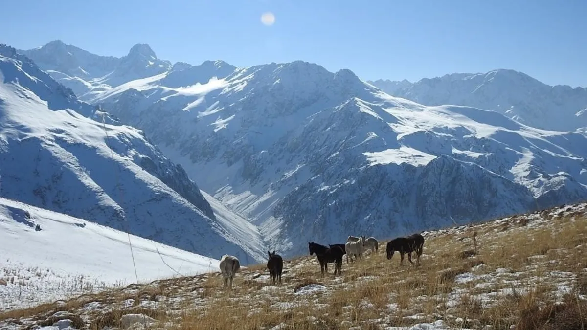 Munzur Dağları'nda doğanın özgür atları