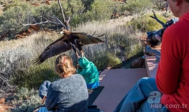 Bu anlar dehşete düşürdü: Kartal çocuğu av olarak gözüne kestirince... 1