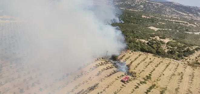 Son dakika | Çanakkale Ezine’de orman yangını