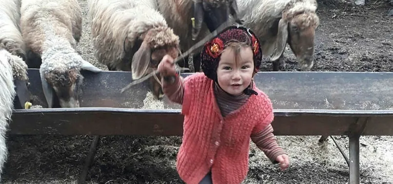 Müslüme Yağal'ın ölümüyle ilgili son dakika haberi! Aile fertlerinden 8 kişi... (Müslüme Yağal olayında neler yaşandı?)